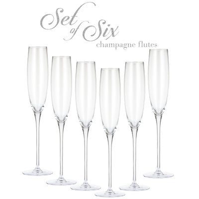 Berkware Classic Sparkling Champagne Glass, Set of 6