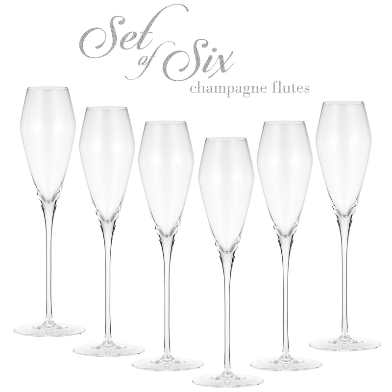 Berkware Curved Champagne Glass, Set of 6